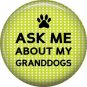 Ask Me About My Granddogs, Dog is Love 1 Inch Pinback Button Badge Pin - 6128