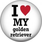I Love My Golden Retriever, Dog is Love 1 Inch Pinback Button Badge Pin - 6131