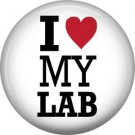I Love My Lab, Dog is Love 1 Inch Pinback Button Badge Pin - 6139