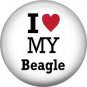 I Love My Beagle, Dog is Love 1 Inch Pinback Button Badge Pin - 6143
