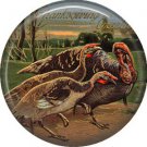 Tom Turkey with Two Hens 1 Inch Pinback Button Badge Pin of Vintage Thanksgiving Image - 0330