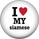 I Love My Siamese, Cat is Love 1 Inch Pinback Button Badge Pin - 6179