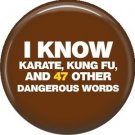 I Know Karate, Kung Fu, and 47 Other Dangerous Words, 1 Inch Button Badge Pin of Fun Phrases - 1513