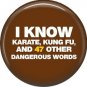 I Know Karate, Kung Fu, and 47 Other Dangerous Words, 1 Inch Button Badge Pin of Fun Phrases - 1513