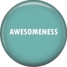 Awesomeness, 1 Inch Button Badge Pin of Fun Phrases - 1516