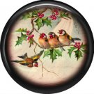 Brown Birds, 1 Inch Pinback Button Badge Pin - 0237