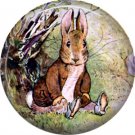 The Tale of Peter Rabbit 1 Inch Pinback Button Badge Pin - 6224