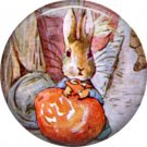 The Tale of Peter Rabbit 1 Inch Pinback Button Badge Pin - 6225