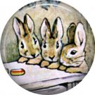 The Tale of Peter Rabbit 1 Inch Pinback Button Badge Pin - 6226