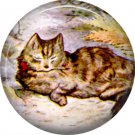 The Tale of Peter Rabbit 1 Inch Pinback Button Badge Pin - 6227