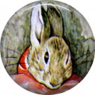 The Tale of Peter Rabbit 1 Inch Pinback Button Badge Pin - 6228
