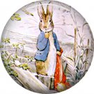 The Tale of Peter Rabbit 1 Inch Pinback Button Badge Pin - 6229