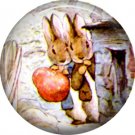 The Tale of Peter Rabbit 1 Inch Pinback Button Badge Pin - 6231
