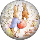 The Tale of Peter Rabbit 1 Inch Pinback Button Badge Pin - 6233