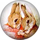 The Tale of Peter Rabbit 1 Inch Pinback Button Badge Pin - 6235