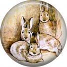 The Tale of Peter Rabbit 1 Inch Pinback Button Badge Pin - 6236