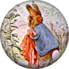 The Tale of Peter Rabbit 1 Inch Pinback Button Badge Pin - 6238
