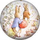 The Tale of Peter Rabbit 1 Inch Pinback Button Badge Pin - 6240