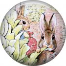 The Tale of Peter Rabbit 1 Inch Pinback Button Badge Pin - 6243