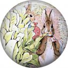 The Tale of Peter Rabbit 1 Inch Pinback Button Badge Pin - 6244