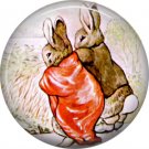 The Tale of Peter Rabbit 1 Inch Pinback Button Badge Pin - 6245