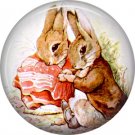 The Tale of Peter Rabbit 1 Inch Pinback Button Badge Pin - 6247