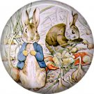 The Tale of Peter Rabbit 1 Inch Pinback Button Badge Pin - 6252