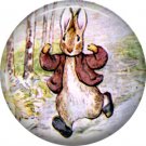 The Tale of Peter Rabbit 1 Inch Pinback Button Badge Pin - 6253