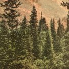 Ogden Canyon Utah Postcard, Hand Colored Landscape c.1922
