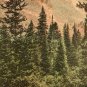 Ogden Canyon Utah Postcard, Hand Colored Landscape c.1922