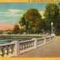 Jacksonville Florida Postcard, Springfield Park c.1934