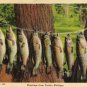 Curtis Michigan Postcard, Ten of a Kind, Fishing Series c.1945
