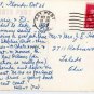 Key West Florida Postcard, Pelicans on Dock, Black & White Real Photo c.1954