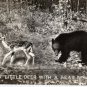 Humorous Postcard, Little Dear with a Bear Behind, Black & White Real Photo c.1938