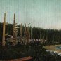 Vancouver B.C. Postcard, Graham Island Totem Poles, Haida Gwaii Queen Charlotte Islands c.1908