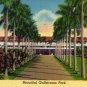 Hallandale Florida Postcard, Club House Entrance at Gulfstream Park c.1952