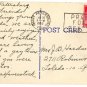 St. Petersburg Florida Postcard, Williams Park, Full Color c.1949