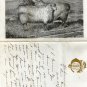 T.S. Cooper, Breeder of Sheep & Cattle, Sales Notes and Envelopes, Coopersburg PA c.1875