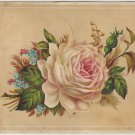 Graduation Souvenir Card, Roses & Forget-Me-Nots, Teacher Photo on Back c.1906