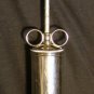 Dewitt & Herz Veterinary Syringe, Chrome Plated c.1890