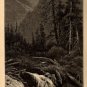 J.D. Woodward Print, Cedar Creek in Blue Cañon c.1877