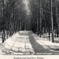 Rapid River Michigan Postcard, Wooded, Snowy Road c.1951
