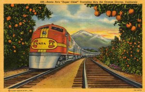 California Postcard, Santa Fe Super Chief Train Traveling Thru The Orange Groves c.1940