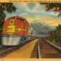 California Postcard, Santa Fe Super Chief Train Traveling Thru The Orange Groves c.1940