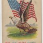 Patriotic Postcard, Shows The American Flag and A Bald Eagle c.1918