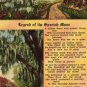 Florida Landscape Postcard, Legend of the Spanish Moss, Full Color c.1953