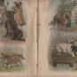 Carlos' Capers, Fannie Ostrander, Children's Book with Color Illustrations, Kids & Dogs c.1902