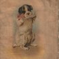 Carlos' Capers, Fannie Ostrander, Children's Book with Color Illustrations, Kids & Dogs c.1902