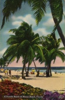 Miami Beach Florida Postcard, Private Beach, Full Color c.1952
