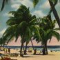 Miami Beach Florida Postcard, Private Beach, Full Color c.1952